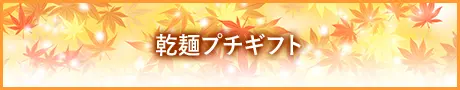 乾麺プチギフト