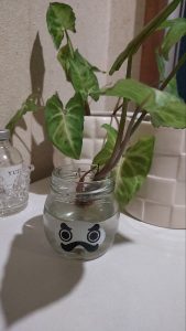 植物のミニ水差し